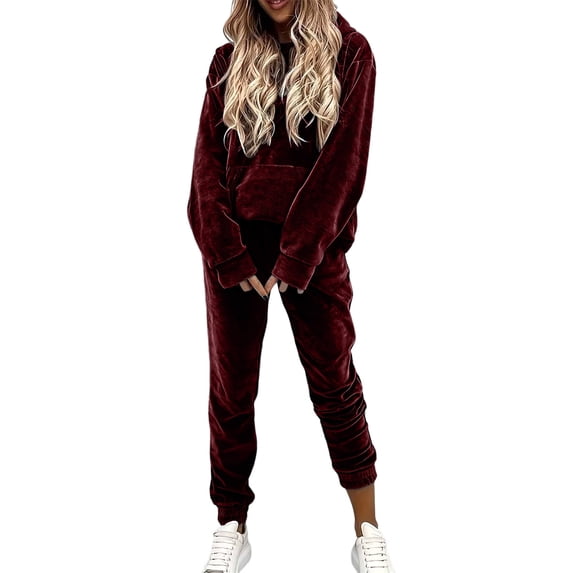 Women's Solid Velvet 2 Piece Tracksuit Hooded Long Sleeve Top and Jogger Pants Casual Outfit Set for Daily Wear, Party and Gathering S-3XL Wine