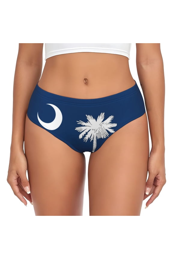 Women's South Carolina Flag Pattern Hipster Underwear 3D printed Bikini Panties Briefs Medium