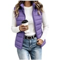 thumbnail image 1 of Women's Stand Collar Zip Up Puffer Vest Sleeveless Lightweight Quilted Gilet with Pockets Casual Outerwear for Fall Winter, 1 of 6