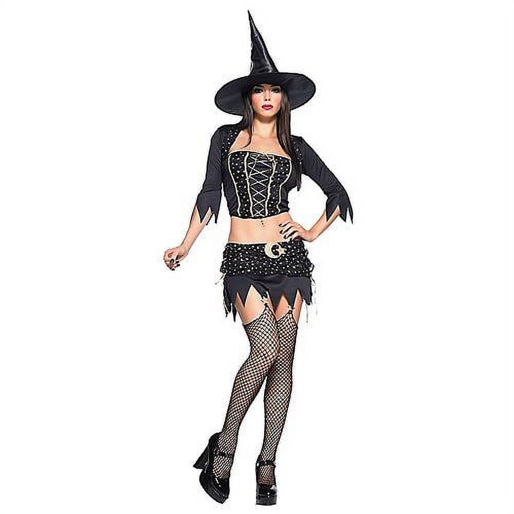 Plus Size Witches Costume picture image