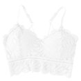 thumbnail image 1 of Women's Stretch Lace Bralette - Padded, Straps, Comfortable, Daily/Loungewear, Free Size (32-38/AB Cup), 1 of 2