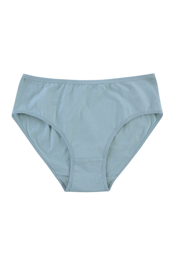 Women's Super Soft and Breathable Briefs Underwear 2025 Light Blue XXL