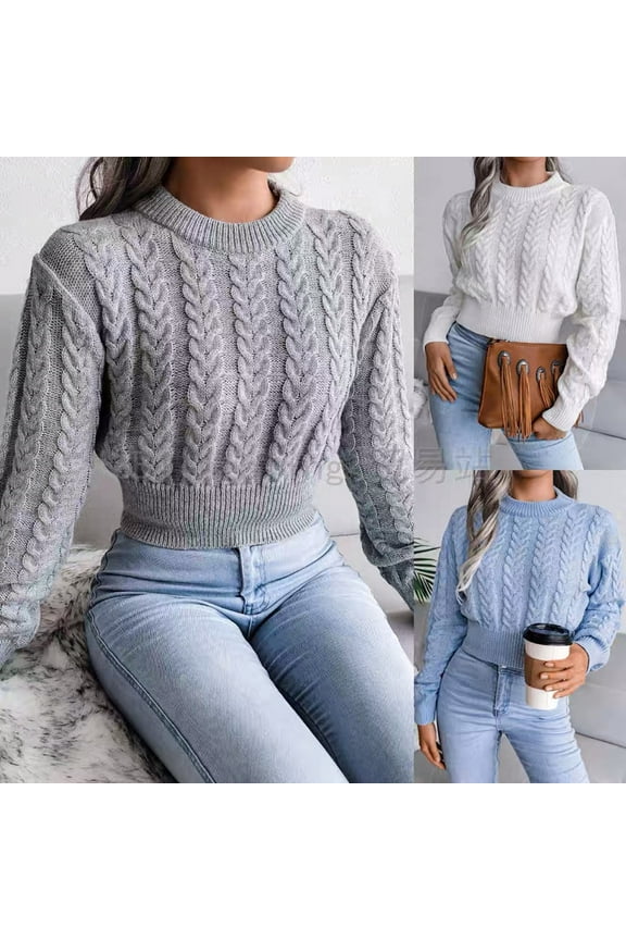Women's Sweater Long Sleeve Casual Elegant Fashion Solid Color Stretch One Size
