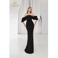 thumbnail image 1 of Women's Terani Couture 251E4204 Long Fitted Bodycon evening elegant Gown – Formal Dress Black 24, 1 of 1