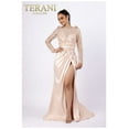 thumbnail image 1 of Women's Terani Couture 3d Flower Applique A Line Sheer Sleeves Dress 232m1557 Blush Pink 18, 1 of 1