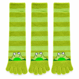 Toe Rocks Size Women's Toe Socks 3-Pack, Cute Frog Five Finger Crew Socks, Casual ...