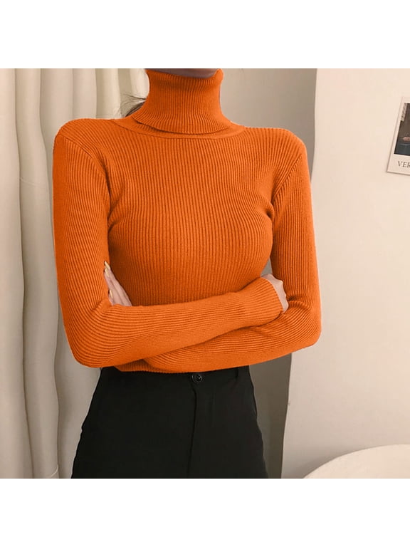 Women's Turtleneck Sweater Long Sleeve Ribbed Fitted High Neck Basic Layering Pullover Tops (RD4 One Size)
