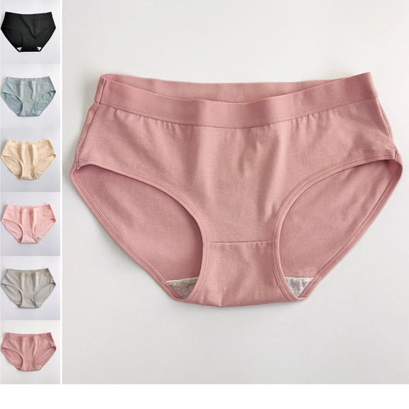 Women's Understated Cotton Brief Panty 2025 Pink L