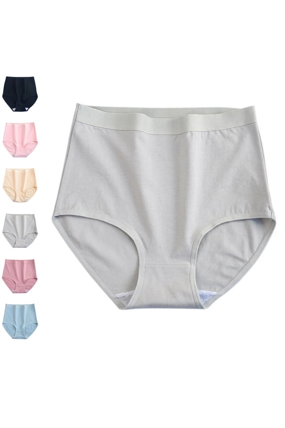 Women's Understated Cotton Brief Panty Light Gray XXL