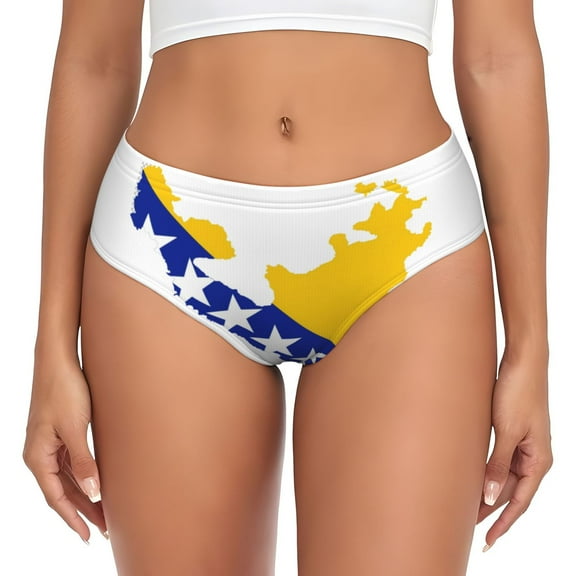 Women's Underwear Bosnian Flag Map Hipster Panties Low Rise Briefs Ladies Bikini Underwear X-Large