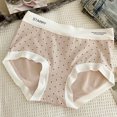 thumbnail image 1 of Women's Underwear Briefs Nylon Seamless Polka Comfortable Body Breathable Underwear Lace Briefs, 1 of 3