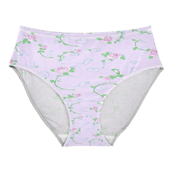 Women's Underwear Chic Rose Pattern Hipster Panties Underwear for women, Medium