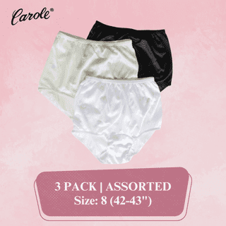 Women's Underwear Classic Nylon Panties Full Cut Carole Briefs, 3-Pack