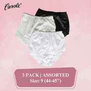 Womens Underwear Classic Nylon Panties Full Cut Carole Briefs, 3-Pack