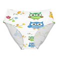 thumbnail image 1 of Women's Underwear Clipart with Cute Owls Hipster Panties Underwear for women, X-Large, 1 of 9