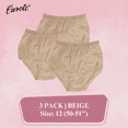 thumbnail image 1 of Women's Underwear Lace Trim Nylon Briefs Full Cut Carole Panties, 3-Pack, 1 of 4