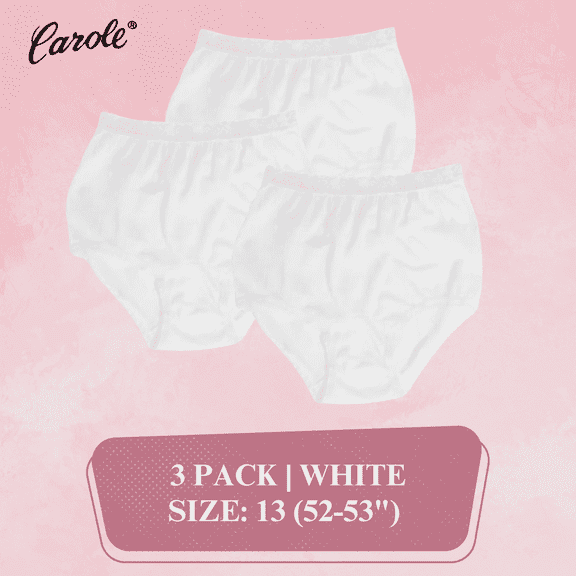 Women's Underwear Lace Trim Nylon Briefs Full Cut Carole Panties, 3-Pack