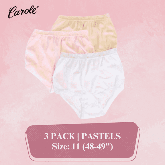 Women's Underwear Lace Trim Nylon Briefs Full Cut Carole Panties, 3-Pack