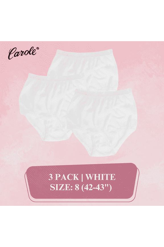 Women's Underwear Lace Trim Nylon Briefs Full Cut Carole Panties, 3-Pack