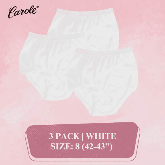 Women's Underwear Lace Trim Nylon Briefs Full Cut Carole Panties, 3-Pack