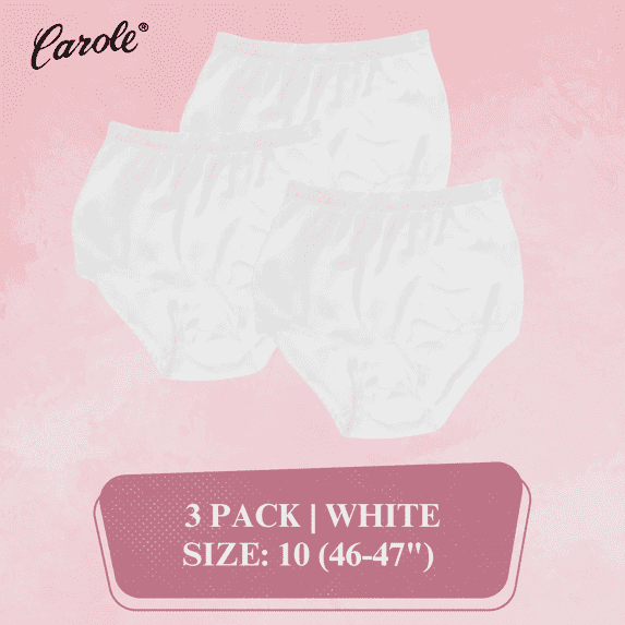 Carole Women's Lace Trim Nylon Briefs, 3-Pack