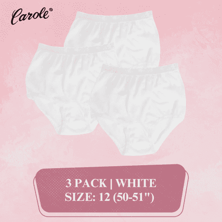 Women's Underwear Lace Trim Nylon Briefs Full Cut Carole Panties, 3-Pack