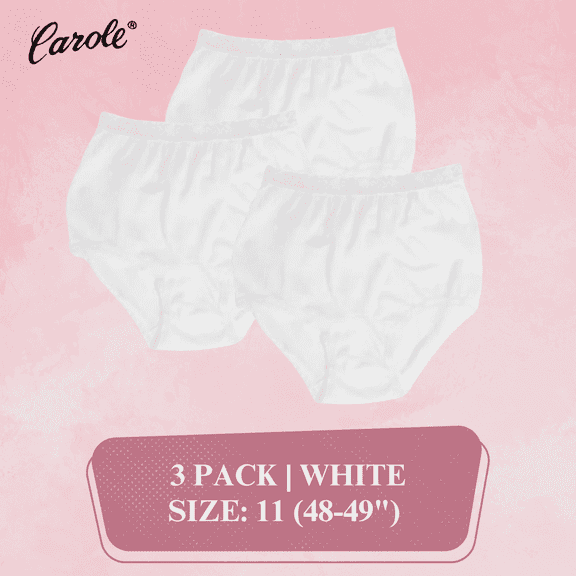 Women's Underwear Lace Trim Nylon Briefs Full Cut Carole Panties, 3-Pack