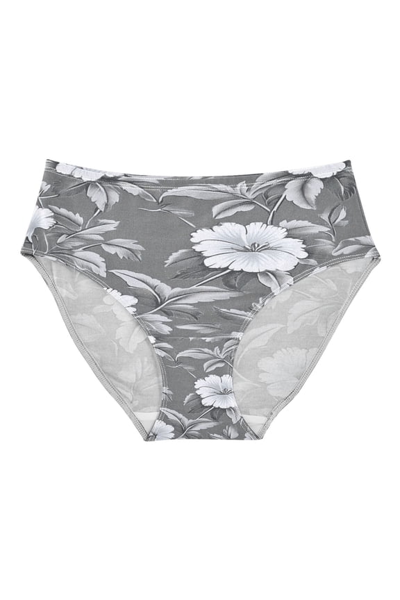 Women's Underwear Old-fashioned Floral Pattern Hipster Panties Underwear for women, XX-Large