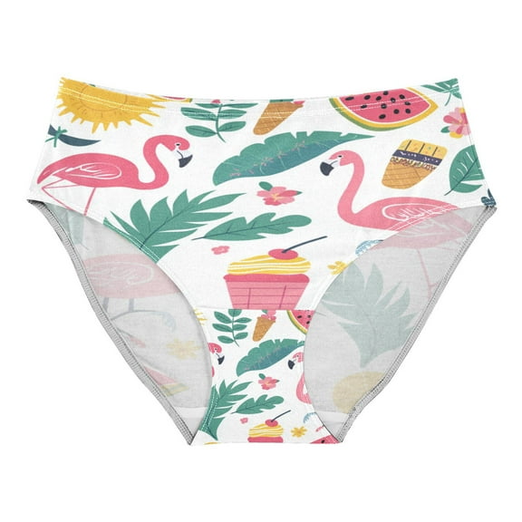 Women's Underwear Tropical Elements Icon Hipster Panties Underwear for women, X-Small