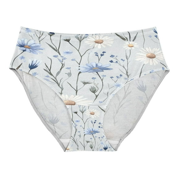 Women's Underwear Watercolor Daisies and Cornflowers Hipster Panties Underwear for women, X-Large