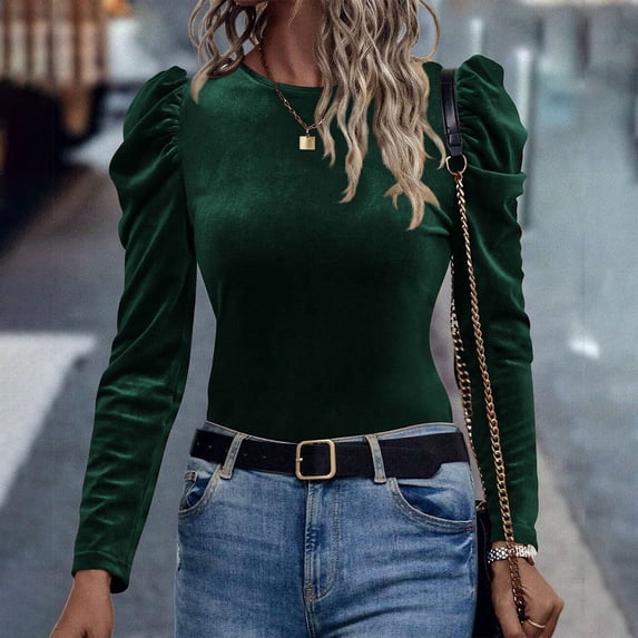 Women's Velvet Tops Lightweight Solid Color Round Neck Long Sleeved Velvet Leisure Easy Cozy Comfortable Blouse for Women