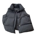 thumbnail image 1 of Women's Warm Puffer Vest Zipper Stand Collar Sleeveless Coat Padded Winter Gilet Jacket Outerwear with Pockets Ladies Clothes, 1 of 9