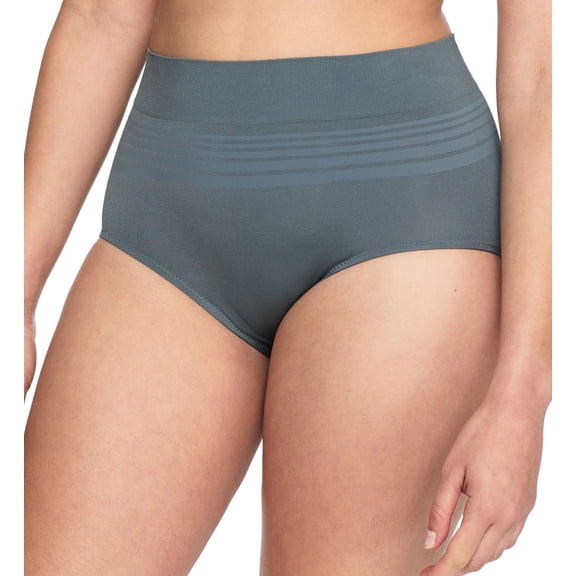 Women's Warner's RS1501P No Pinching. No Problems. Seamless Brief Panty (Spruce 2X)