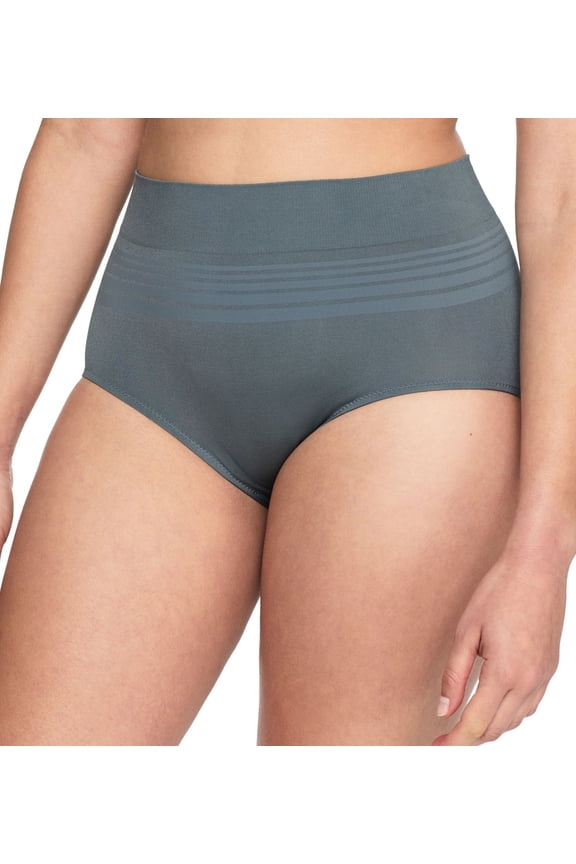 Women's Warner's RS1501P No Pinching. No Problems. Seamless Brief Panty (Spruce 2X)