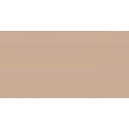 thumbnail image 1 of Women's Warner's RT5501P No Pinching. No Problems. Seamless Hi-Cut Panty (Toasted Almond L), 1 of 5