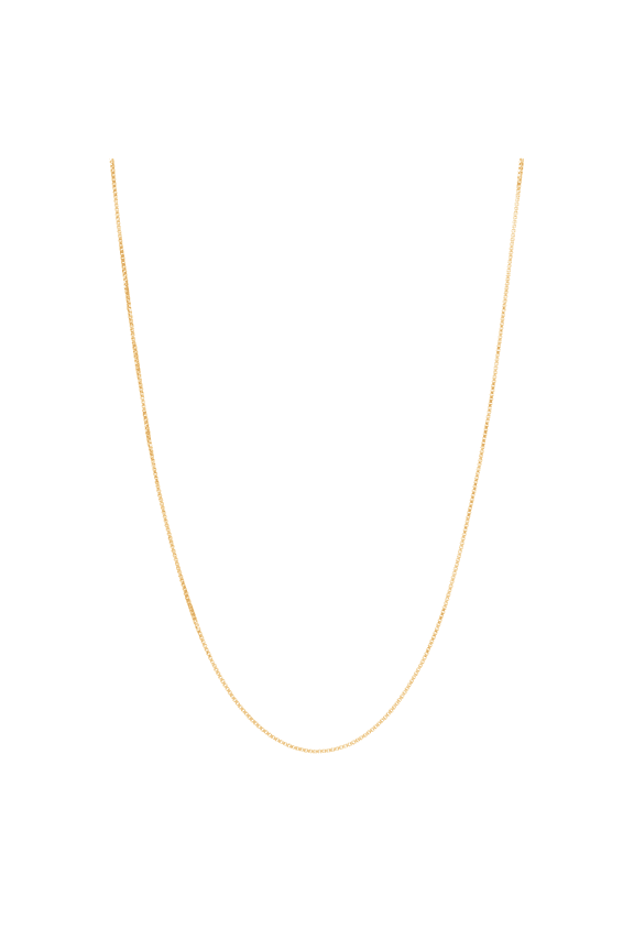 Women's Welry 0.80mm Box Chain Necklace in 14kt Yellow Gold, 20"
