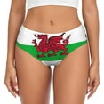 thumbnail image 1 of Women's Welsh Flag Seamless Hipster Panties Stretch printed Bikini Underwear XX-Large, 1 of 6