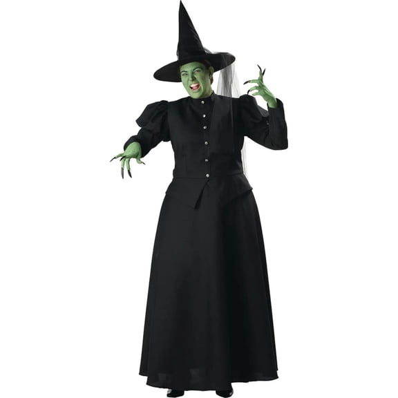 Witch Adult Halloween Costume