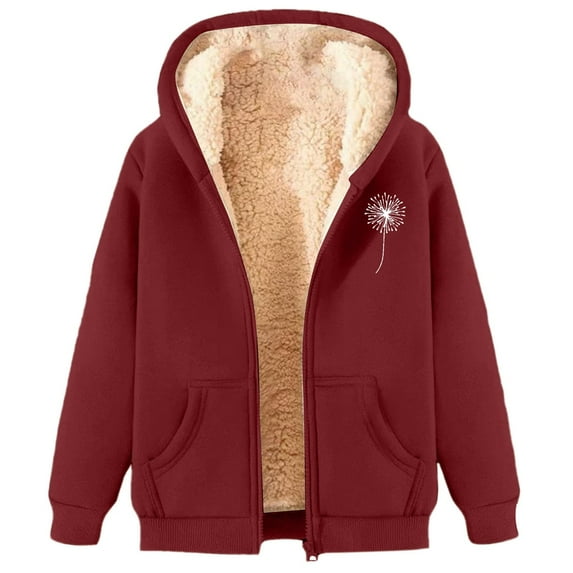 Women's Winter Velvet Thickened Warm Solid Color Cardigan Hooded Sweatshirt Zip Jacket for Women 2XL