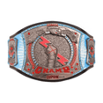 thumbnail image 1 of Well Perform CMP Spinner Belt Adult Size | Title Belt Replica | 2mm Leather Straps - Fan Gift, 1 of 3