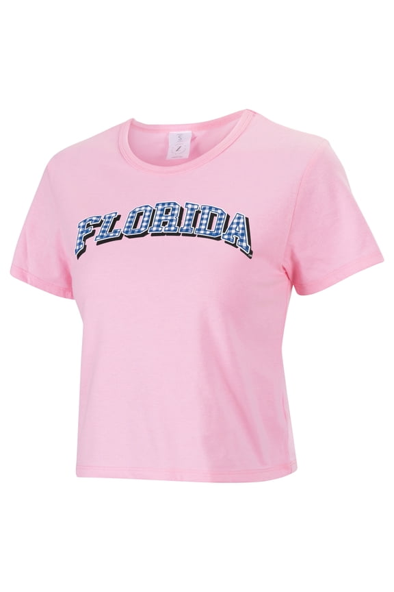 Women's ZooZatz Pink Florida Gators Gingham Logo Cropped T-Shirt