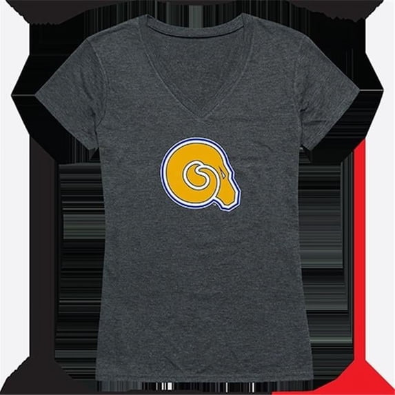 Womens Albany State University Cinder Tee, Heather Charcoal - Small