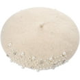 thumbnail image 1 of Womens Beret Hat Pearl Rhinestone Wool Winter Warm Beanies Hat French Artist Hats, 1 of 5