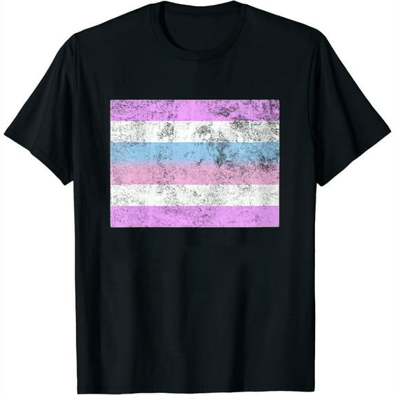 Womens Bigender Pride Flag Identity Lgbt Gay Graphic V-Neck T-Shirt Black Small