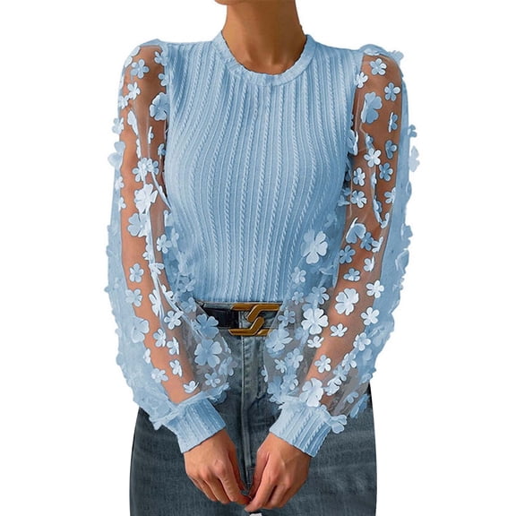 Womens Blouse Textured Flower Mesh Long Sleeve Spring Fall Casual Trendy Tops