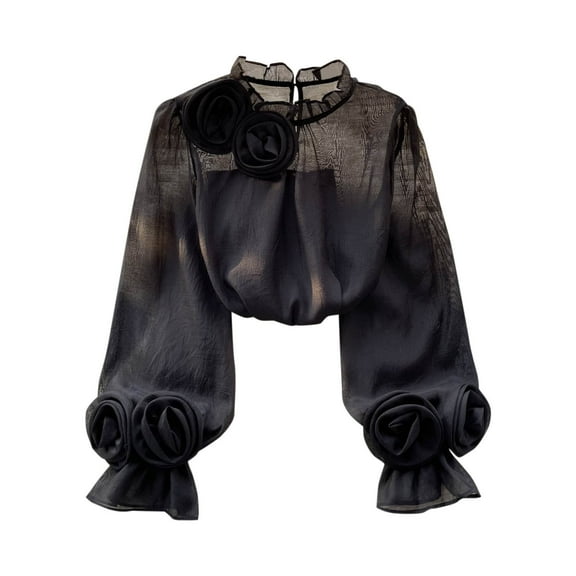 Womens Chiffon Tops Basic Spring T Shirts Long Sleeve Dressy Casual Loose Fit Cute Tee Clothes Trendy Fashion Outfits Black Free Size