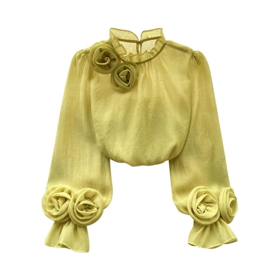 Womens Chiffon Tops Basic Spring T Shirts Long Sleeve Dressy Casual Loose Fit Cute Tee Clothes Trendy Fashion Outfits Yellow Free Size