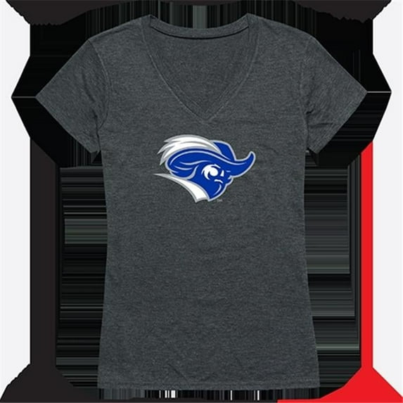 Womens Christopher Newport University Cinder Tee, Heather Charcoal - Medium