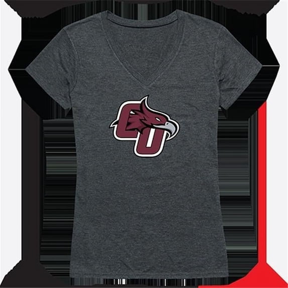 Womens Cumberland University Cinder Tee, Heather Charcoal - Medium