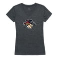 thumbnail image 1 of Womens Dallas Baptist University Cinder Tee, Heather Charcoal - Large, 1 of 1
